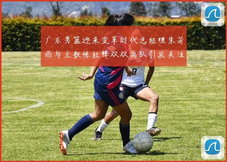广东男篮迎来变革时代总经理朱芳雨与主教练杜锋双双离队引发关注